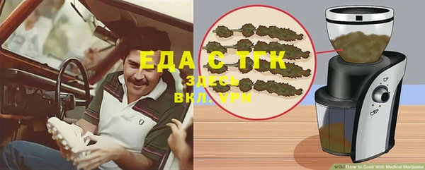 прущие грибы Абаза