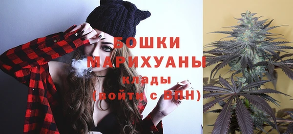 прущие грибы Абаза