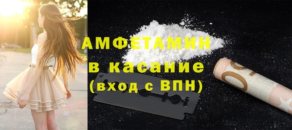 прущие грибы Абаза