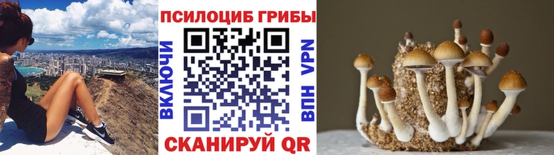 Галлюциногенные грибы MAGIC MUSHROOMS  Усолье-Сибирское 